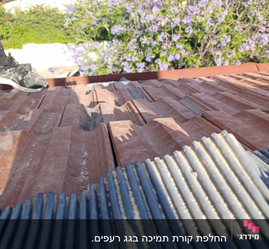 רעפים אדומים וכחולים על גג עם נעל ספורט